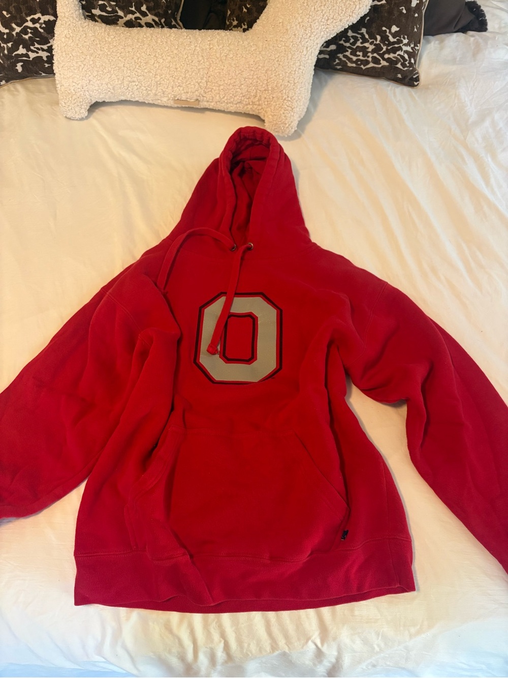 Ohio state hoodie